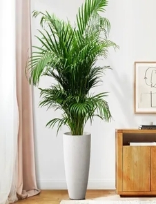 慈溪花木租赁设计